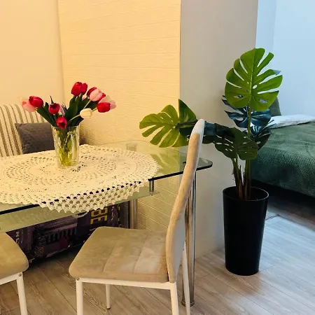 Shpytalna Street Lviv
